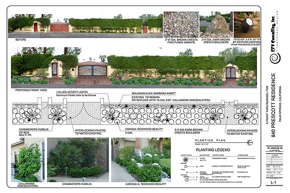 Desert Landscape Design