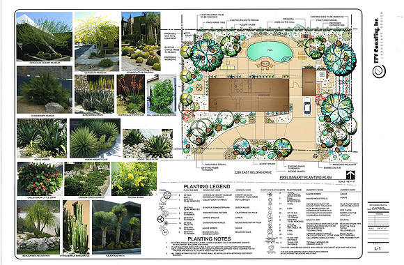 Desert Landscape Design