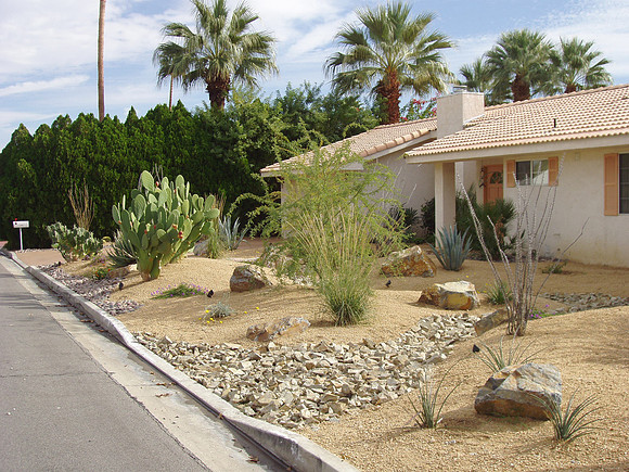Desert Landscape Design