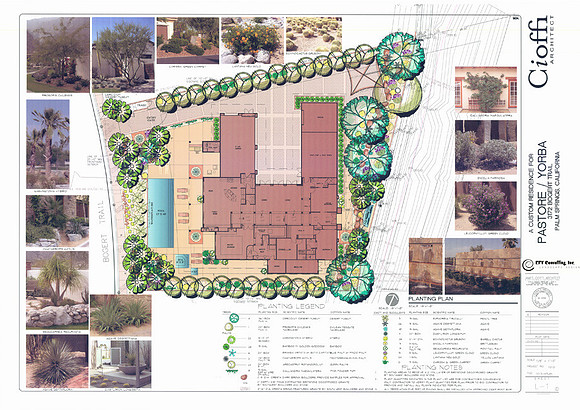 Desert Landscape Design