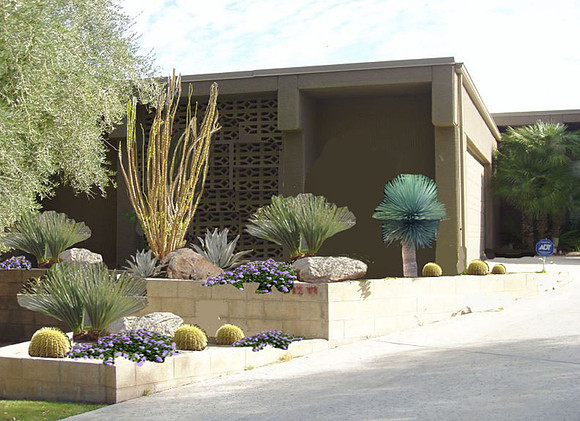 Desert Landscape Design