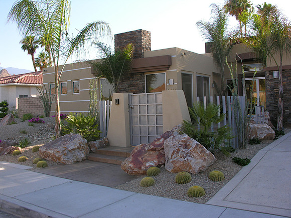 Desert Landscape Design