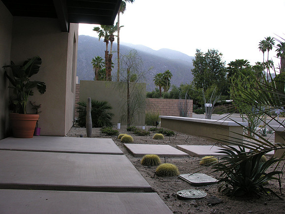 Desert Landscape Design