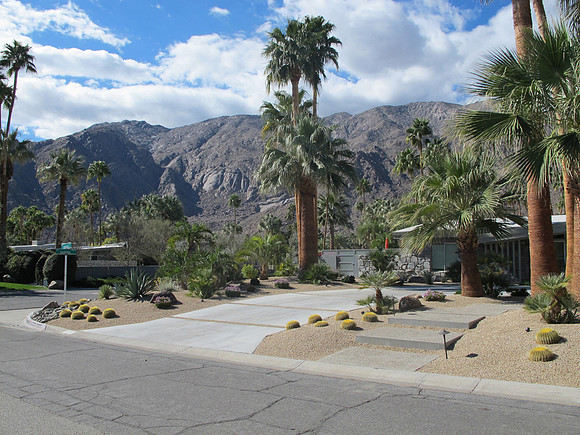 Desert Landscape Design