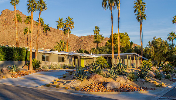 Desert Landscape Design