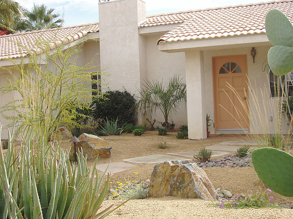 Desert Landscape Design