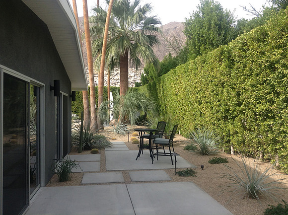 Desert Landscape Design