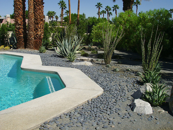 Desert Landscape Design