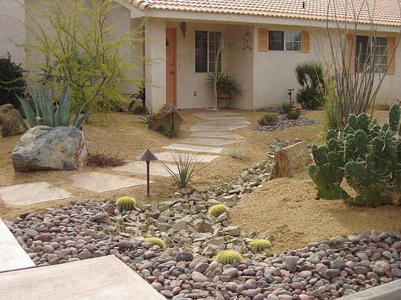 Desert Landscape Design
