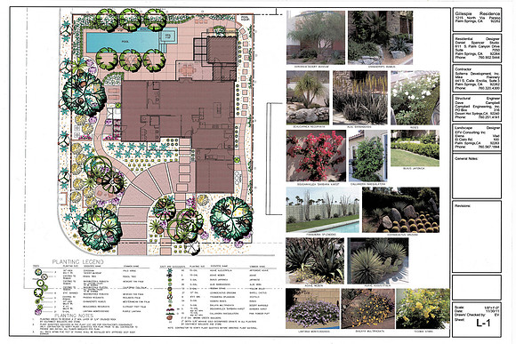 Desert Landscape Design