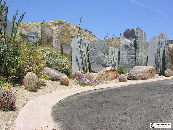 Desert Landscape Design