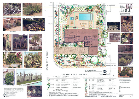 Desert Landscape Design
