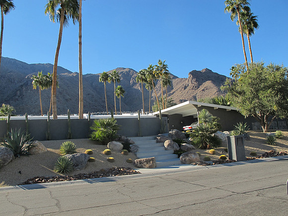 Desert Landscape Design