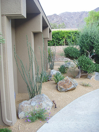 Desert Landscape Design
