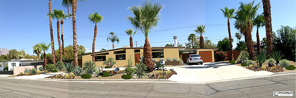 Desert Landscape Design