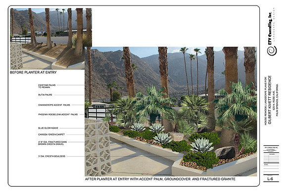 Desert Landscape Design
