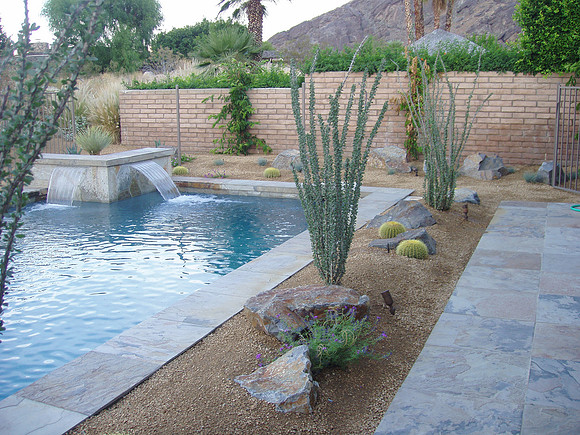 Desert Landscape Design