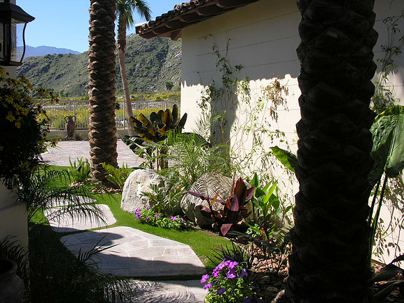 Desert Landscape Design