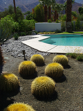 Desert Landscape Design