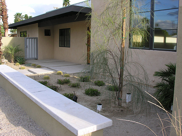 Desert Landscape Design
