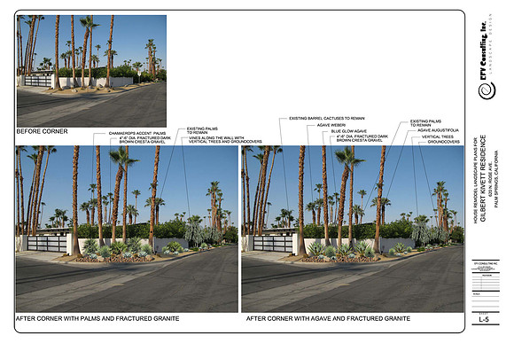 Desert Landscape Design