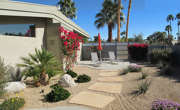 Desert Landscape Design