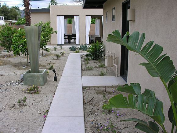Desert Landscape Design