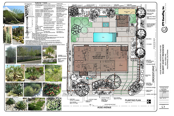 Desert Landscape Design