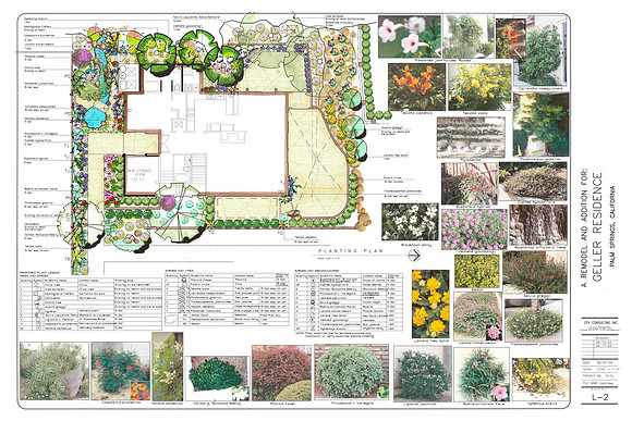 Desert Landscape Design