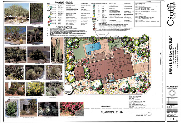 Desert Landscape Design