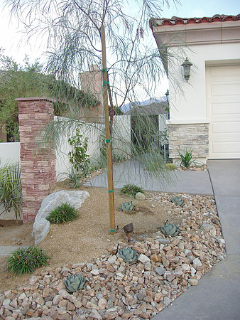 Desert Landscape Design