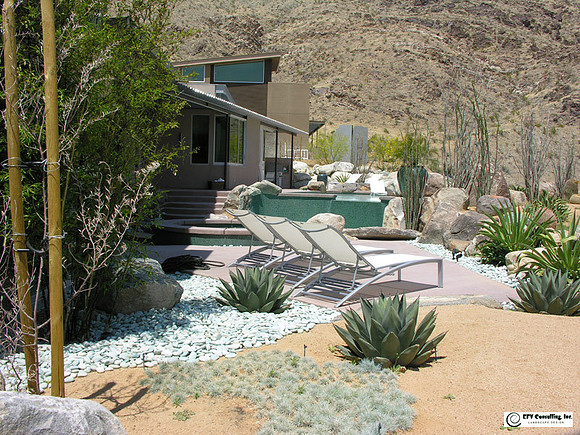 Desert Landscape Design