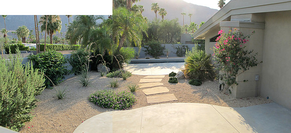 Desert Landscape Design
