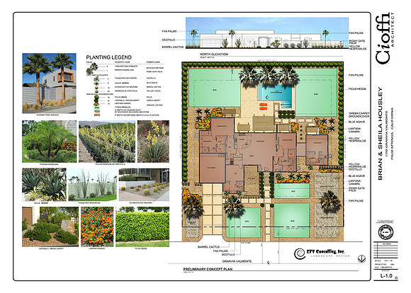 Desert Landscape Design