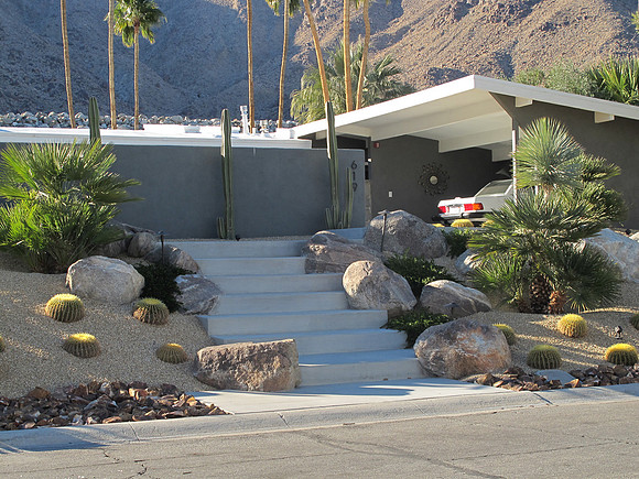 Desert Landscape Design