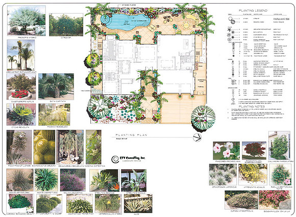 Desert Landscape Design