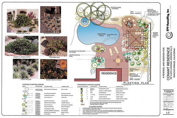 Desert Landscape Design