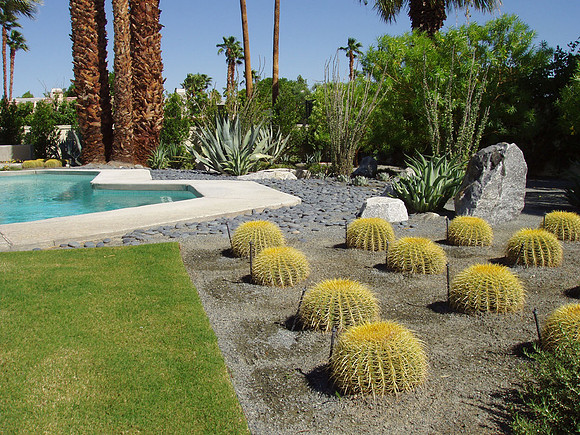 Desert Landscape Design