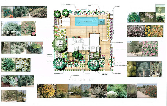 Desert Landscape Design
