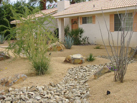 Desert Landscape Design