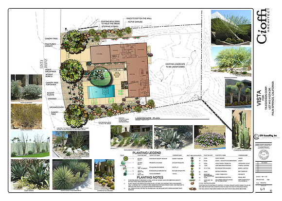 Desert Landscape Design