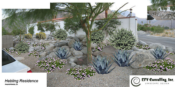 Desert Landscape Design