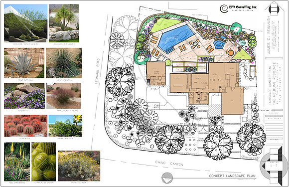 Desert Landscape Design
