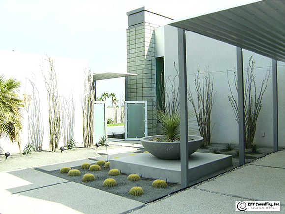 Desert Landscape Design