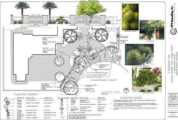 Desert Landscape Design