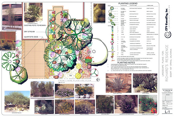 Desert Landscape Design
