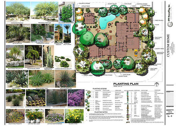 Desert Landscape Design