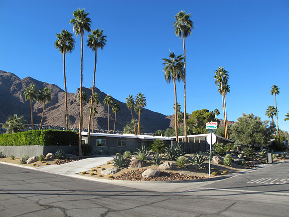 Desert Landscape Design