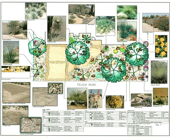 Desert Landscape Design