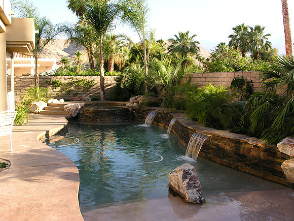 Desert Landscape Design